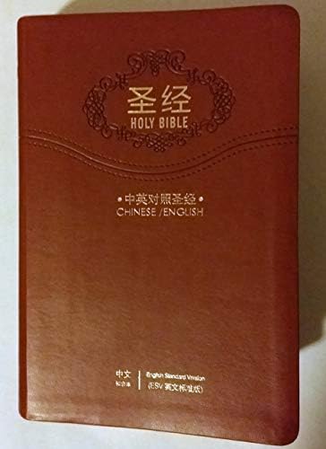 脂砚斋重评石头记(甲戌本): qing cao xue qin: 7329521398605: Amazon